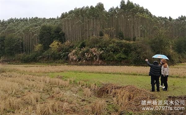 花莲县陈老师带着爱徒寻龙点穴